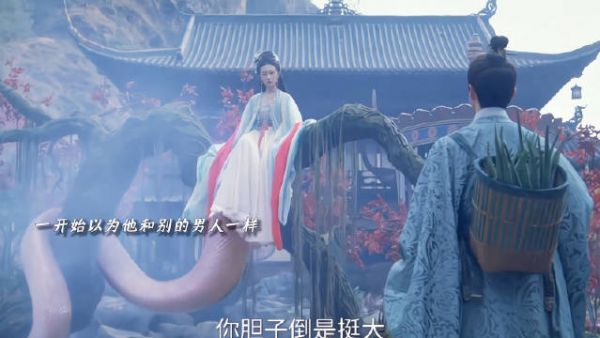 梅四识破柳娘子真身,转身照料表白心意