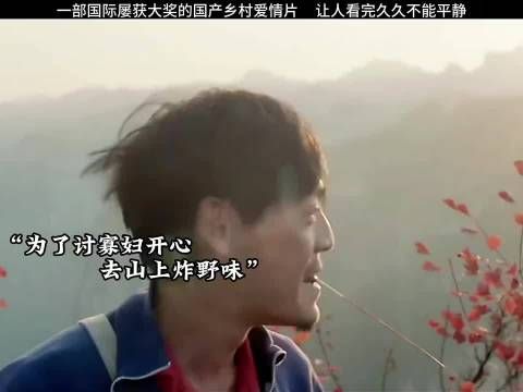 一部国际屡获大奖的国产乡村爱情片,让人看完久久不能平静