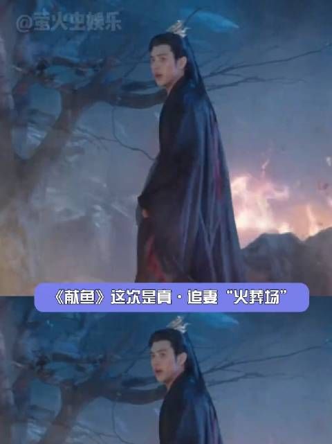 陈飞宇王影璐新剧献鱼司马焦追妻火葬场