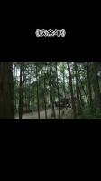 范闲为范若若幸福巧劝海棠朵朵拜师苦荷