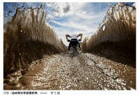 摄影展入展作品被指抄袭英国摄影师，组委会确认违规并取消摄影师荣誉