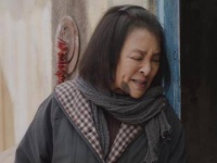 南来北往拐卖案照进现实 害人之心不可有，防人之心不可无啊！