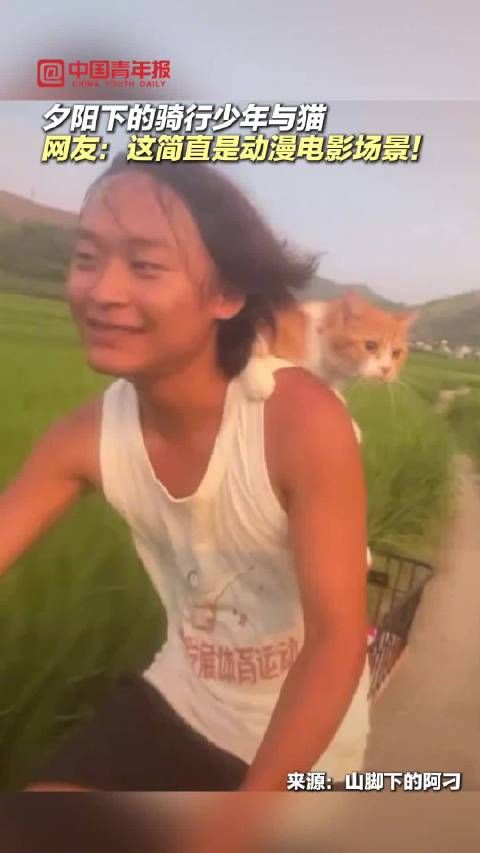他带猫看的不是稻田,是我们的童年