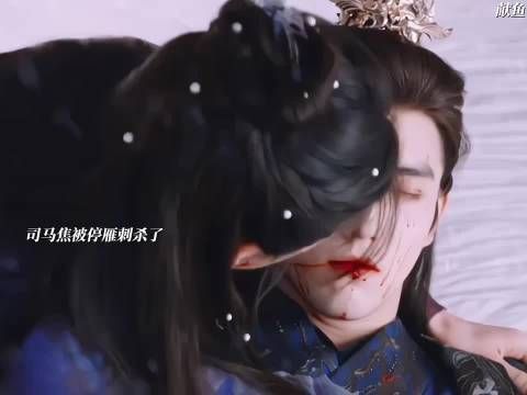 停雁无意间刺杀了司马焦,可师祖临死前还在安慰我们雁子