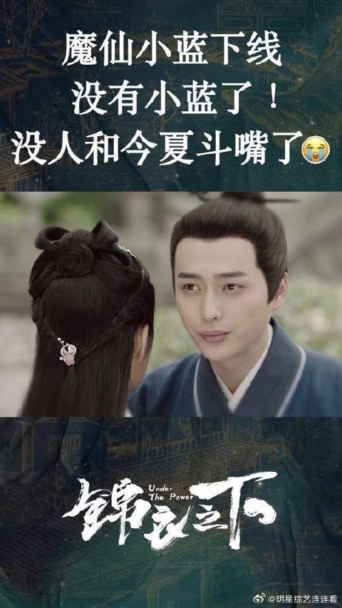 锦喜:今夏为小蓝自责