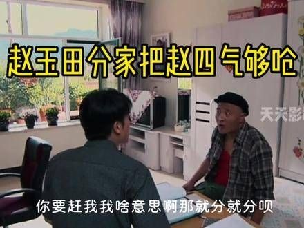 乡村故事,赵四登场