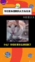 李若彤演短剧收视率逆袭 微博VC计划
