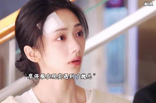 廖停雁现代重逢司马焦,千年缘分再续