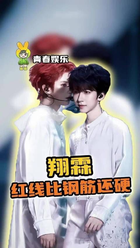 全世界0个人帮你们避嫌~~翔霖 严浩翔 贺峻霖