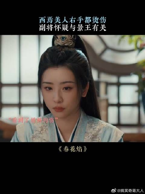 西焉美人右手都烫伤,副将怀疑与景王有关