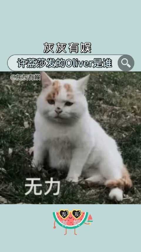 许荔莎发的Oliver是谁