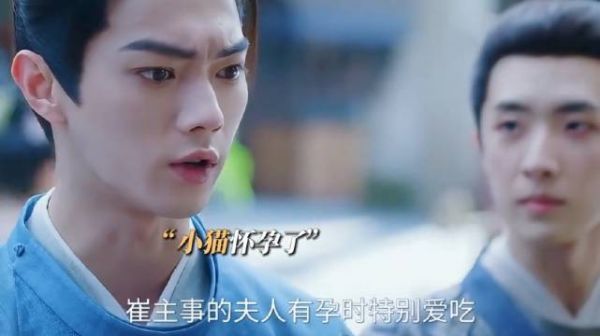 子夜归大结局,小猫怀孕梅四重新追求小蛇 ,子夜归剧情升华美满结尾