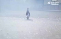 《子夜归》大结局揭晓，武祯怀孕引发热议