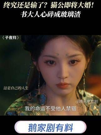 终究难逃败局?猫公迎娶佳人在即!书大人伤心欲绝如玻璃碎裂