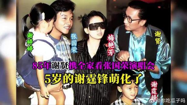 1985年谢贤带全家人看张国荣演唱会vlog,5岁的谢霆锋萌化了