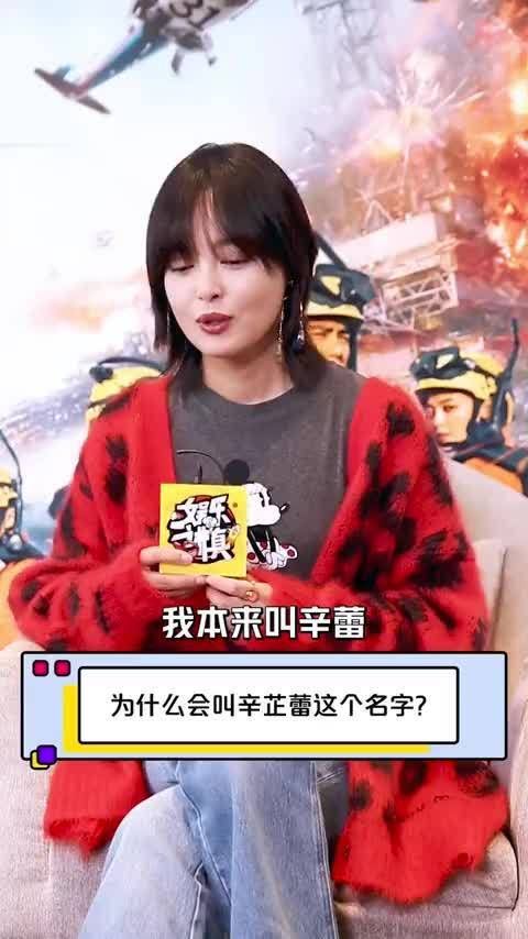 辛芷蕾这个名字真是一波三折了,按理说“辛芷蕾”是她的第三个名字