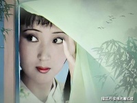 黛玉进贾府，为何只带了丫头雪雁和奶妈王嬷嬷，是林家没钱吗？