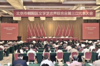 谢莹当选朝阳区文联第三届主席