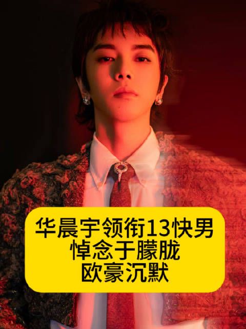 华晨宇领衔13快男悼念于朦胧,欧豪沉默