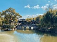 戴复古师从陆游，才华横溢，为什么要放弃科考