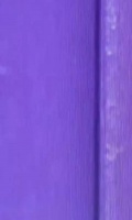 邓为鸭舌帽造型引热议，气质出众成焦点