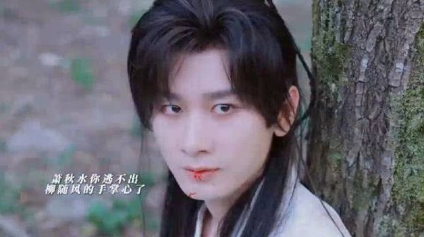 赴山海柳随风萧秋水上演他逃他追