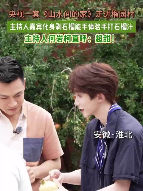 央视主持人何岩柯淮北体验手打石榴汁赞超甜
