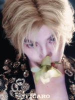 为我的黄毛美人扛大旗！