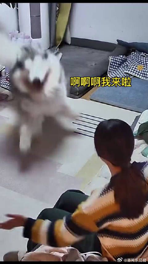脑子还没反应过来,身体就先动了