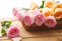 童自荣：致敬这位元老