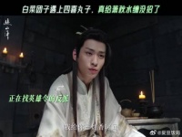 白菜团子遇上四喜丸子就这样