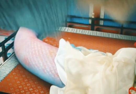 《子夜归》梅四纯爱引热议,网友调侃许仙悟性不足