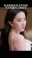 向太说刘亦菲在圈内口碑真的很好 不愧是粉了多年的神仙姐姐