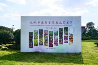 汇集百种名菊 来非遗博览园解锁“花花的世界”