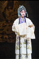 姜艳领衔新版京剧《望江亭》，尽显张派风华