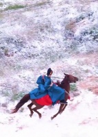 30岁男演员丁禹兮拍戏时突发意外，马匹失控暴冲，致其险些坠马