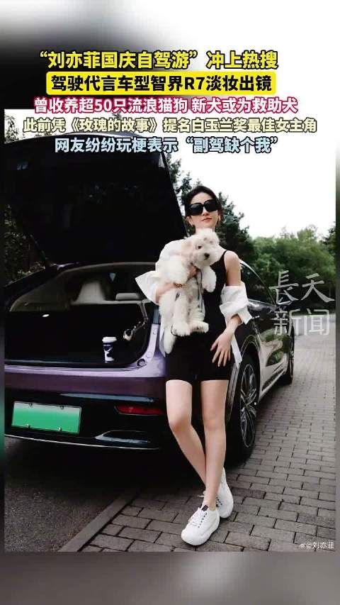刘亦菲国庆自驾游淡妆出镜，曾收养50只流浪猫狗