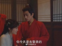 人生多变故，不然你也会是那意气风发的将军，再有个琴瑟和鸣的伴侣