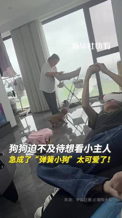 狗狗迫不及待想看小主人,急成了“弹簧小狗”,太可爱了!