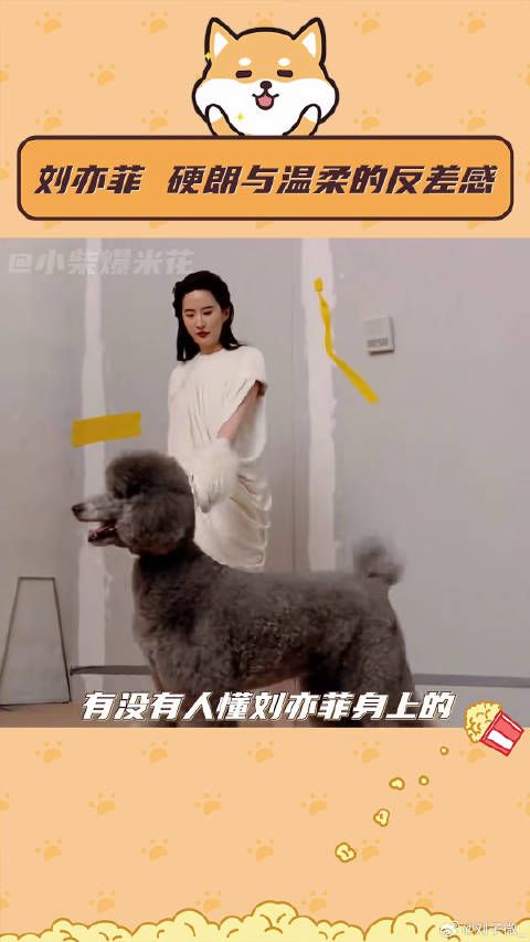 被刘亦菲迷倒就像呼吸一样简单!反差感