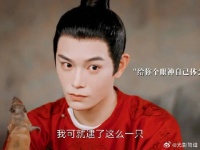 真的是全员喜剧人