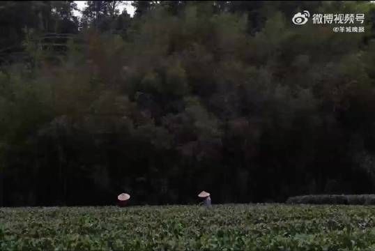 李亚鹏与妻子海哈金喜官宣离婚,孩子跟随母亲生活,由双方抚养