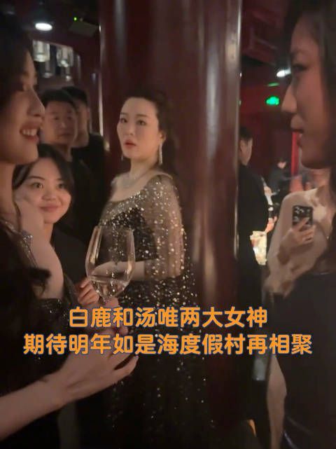 汤唯、白鹿两个大美女在晚宴上已经聊的不只天地为何物了,求一个合作