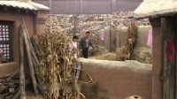 夫妻俩去乡下看孩子,不料竟看见了这一幕,孩子真是太惨了!