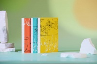 猪八戒，那头被时代“洗白”的黑毛猪