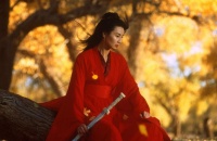 惨！武术冠军自掏腰包拍武侠片，成本超1500万，4天票房仅169万