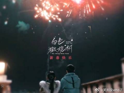 阿瓒和冉冉借满天烟火许下新年愿望：世界和平