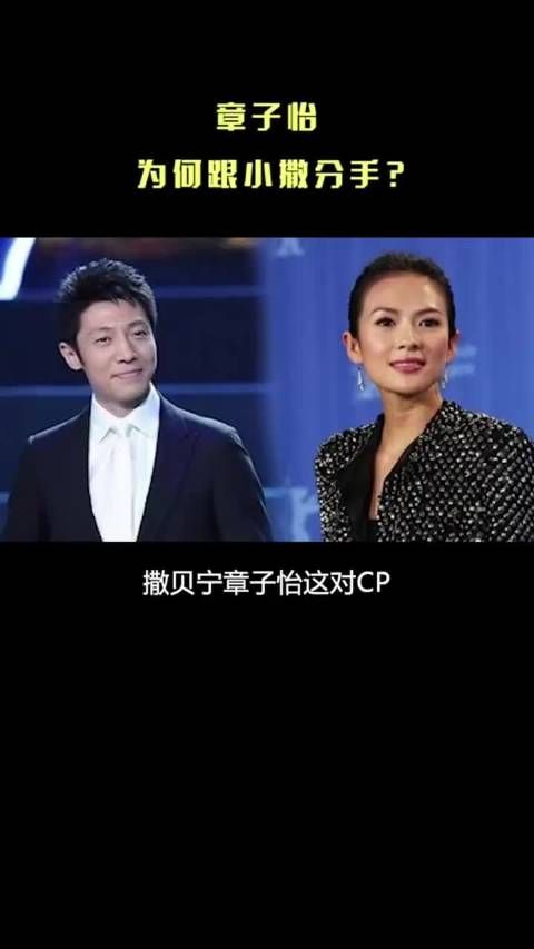 撒贝宁曾经有多爱“国际章”?章子怡为何跟小撒分手了呢?
