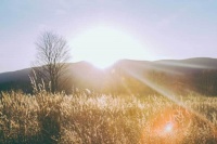 90后编剧打造武侠IP少年江湖系列持续热播