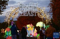 波兰华沙的“光之花园”灯光展